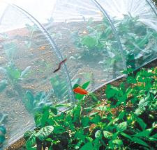 nortene-filet-anti-insectes-climabio Fabriquer une barrière anti-limaces naturelle et décorative