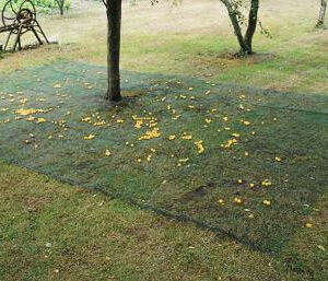 Filet de ramassage 4 x 6 m CAPTANET - Idéal pour ramasser les fruits et feuilles mortes