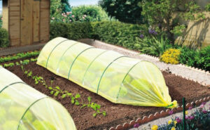 nortene-film-de-forcage-maraicher-climapro-25x10m-300x185 Quelles variétés planter en avril/mai pour un potager productif ?