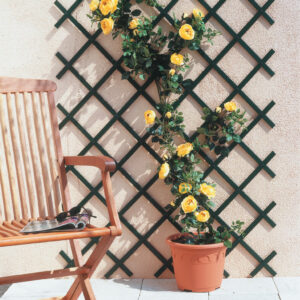 nortene-treillis-extensible-en-pvc-1-x-2-m-vert-treilliflex-300x300 Faut-il choisir un potager en pleine terre, surélevé ou en bac ?