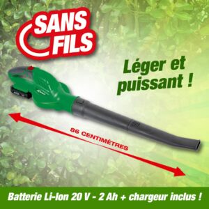 Souffleur de feuilles moteur électrique à batterie