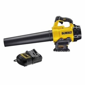 Souffleur 18V DEWALT DCM562P1-QW une batterie 5,0 Ah