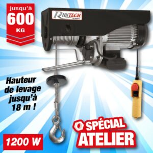 palan electrique 300/600kg