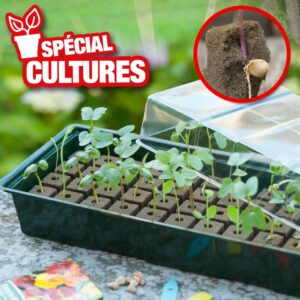 Mini serre kit de germination pour culture hors sol (4x16 soit 64 alvéoles)