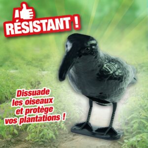corbeau effaroucher
