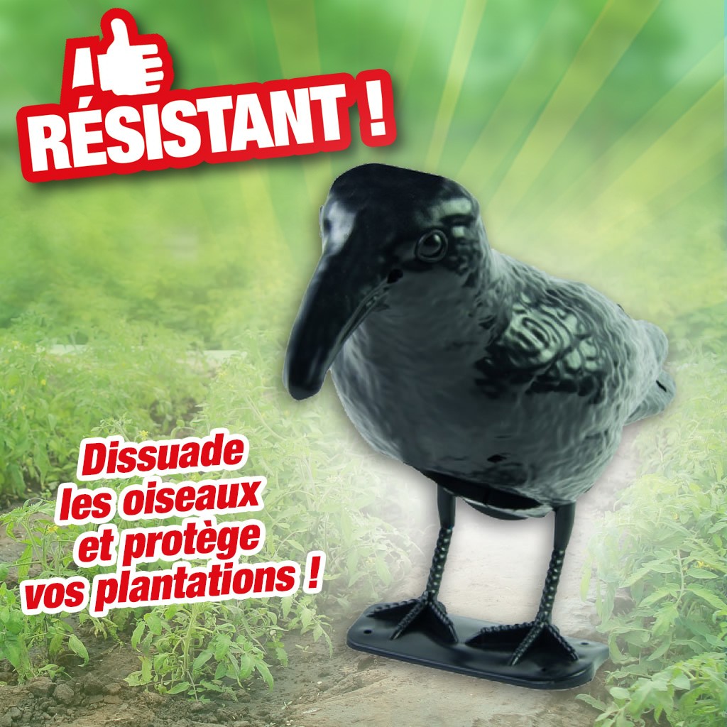 corbeau effaroucher