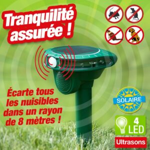 Pioche-hache, douille ronde 2 kg - sans manche