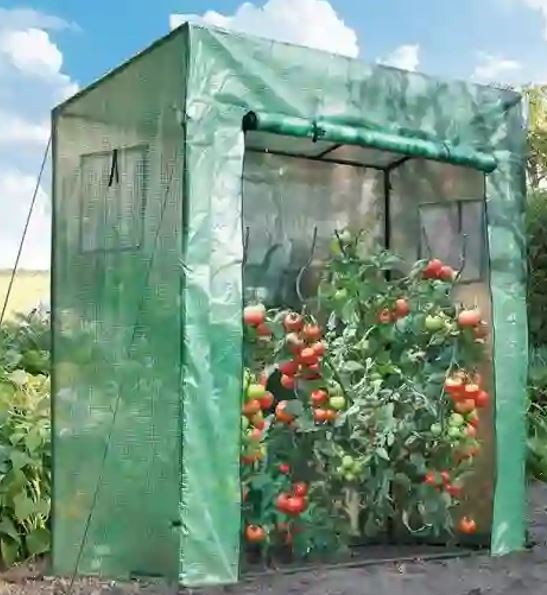 Serre de jardin avec liens et crochets de fixation