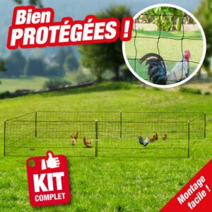 Filet cloture pour poules en kit longueur 12M avec porte et 6 piquets