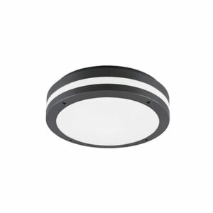 Plafonnier exterieur Rita anthracite