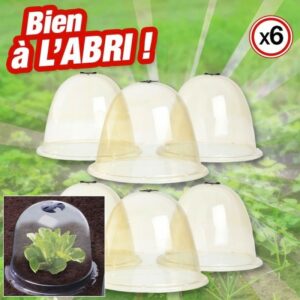 Lot de 6 cloches pour salades avec ventilation et accroches