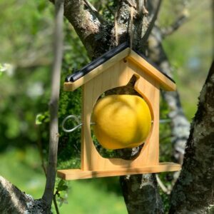 Mangeoire en forme de maison porte fruits pour oiseaux