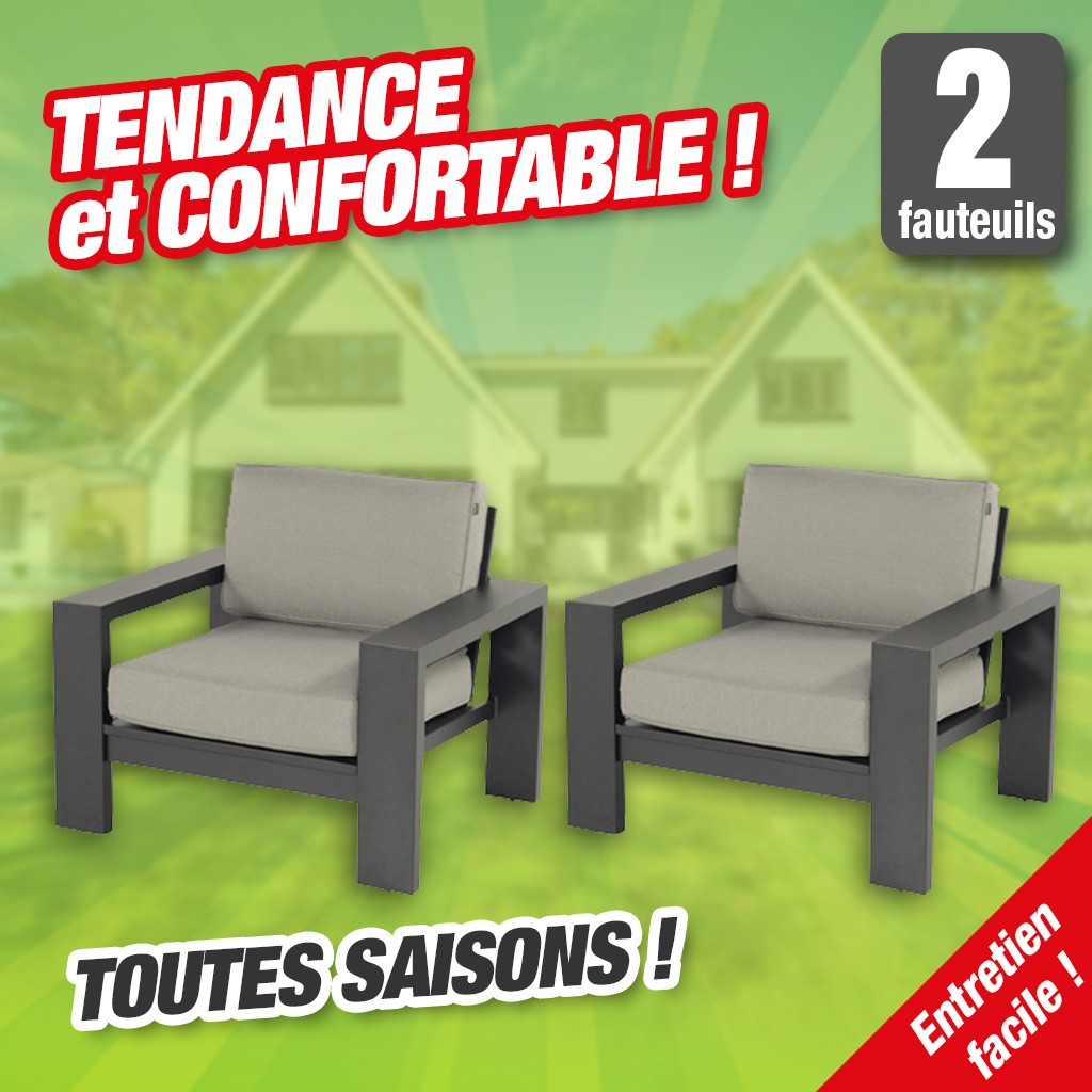 Lot de 2 fauteuils d'extérieur - gris, cadre alu