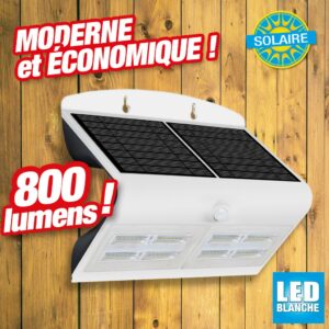 Lampe d'extérieur à énergie solaire 800 lm  blanc