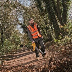 Souffleur sans fil - Pro Landscape - DEWALT - 36V