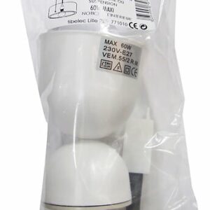 Monture plastique douille E27 60W maxi blanc