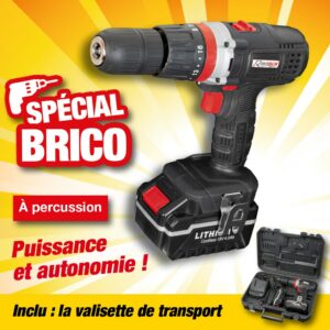 PERCEUSE-VISSEUSE A PERCUSSION 18V 2 BATTERIES 4AH ET 1,5AH