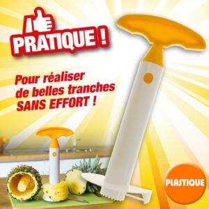 Tranche ananas plastique