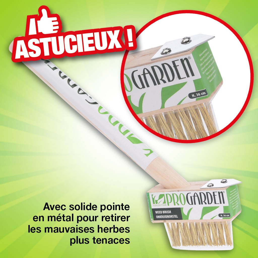 brosse mauvaises herbes longueur 36cm