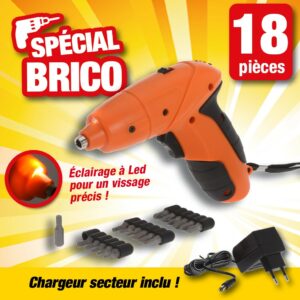 Visseuse - dévisseuse à batterie + embouts 18 pièces