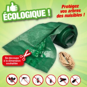 Bande de glue attrape insectes
