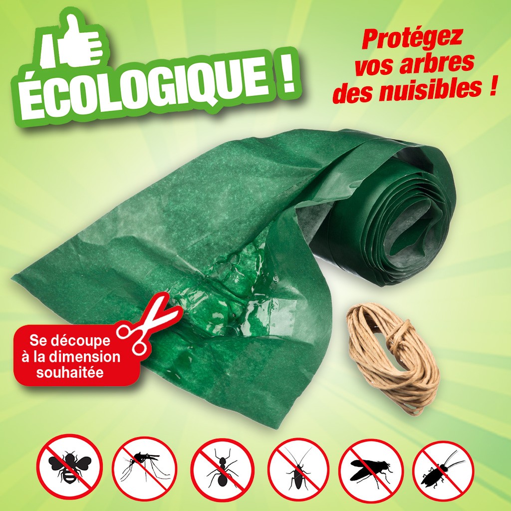 Bande de glue attrape insectes