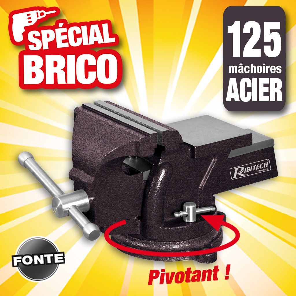etau fonte 125 machoires acier
