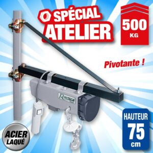 potence pivotante 75cm 500kg
