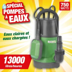 pompe vide cave eaux claires eaux chargees 750w