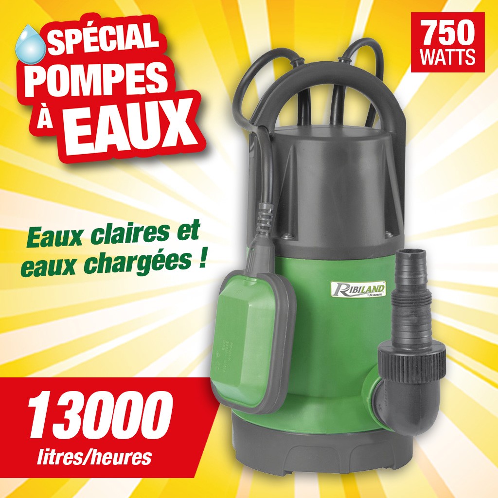 pompe vide cave eaux claires eaux chargees 750w