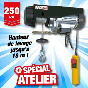 palan electrique 125/250kg