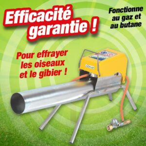 canon a gaz ribizon 1 tube