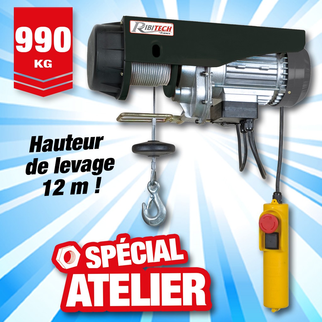 palan electrique 495/990kg