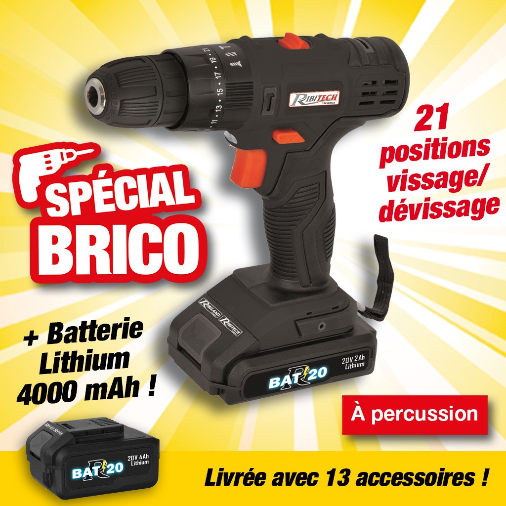 perceuse-visseuse a percussion "r-bat20" batterie 20v 2amp