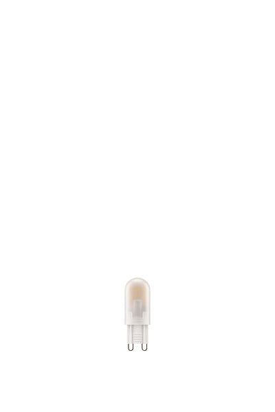 Ampoule LED G9 Capsule - Blanc chaud - Lot de 2 - 2700K - 25W