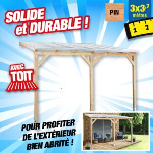 Toit terrasse bois 3x3,7 m avec toit