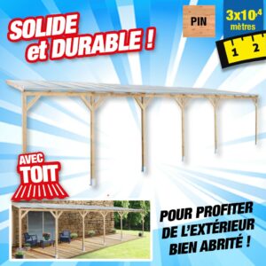 Toit terrasse bois 3x10,4 m avec toit
