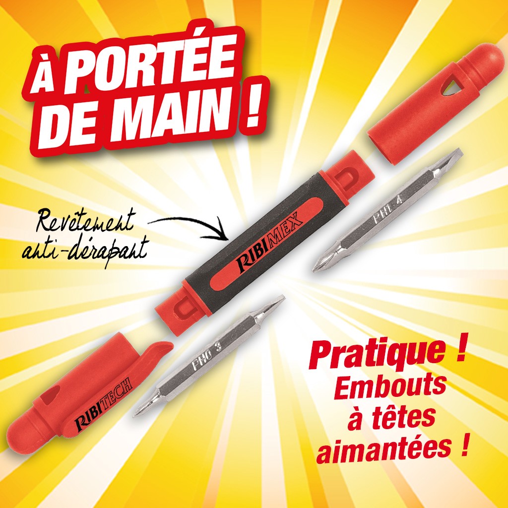 Tournevis 4 en 1 forme stylo