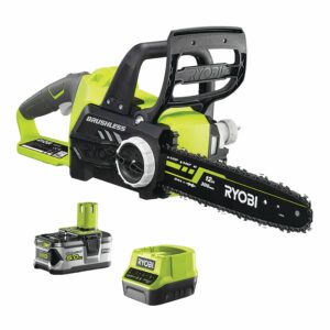 Tronçonneuse Brushless 18V ONE+™ (1 x 5,0 Ah)