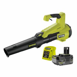 Souffleur Turbo Jet Whisper™ Brushless 18V ONE+ HP™ (1 x 4,0 Ah)