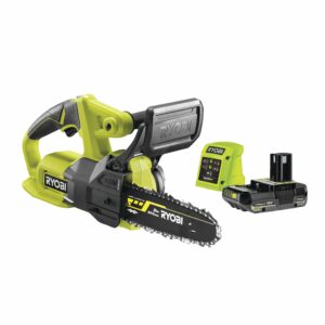 Tronçonneuse compacte 18V ONE+™ (1 x 2,5 Ah)