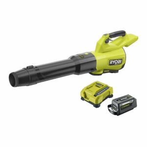 Souffleur Turbo Jet Whisper™ Brushless 36V MAX POWER (1 x 6,0 Ah)