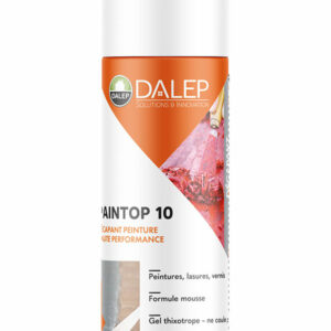 Aérosol décapant peinture 500 ml Paintop 10 DALEP 710001