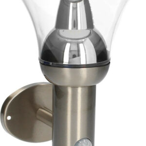 Applique Solaire BASTIDE 6W 600lm Detecteur de Mouvement - Inox