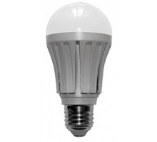 Ampoule led forme standard 1 ampoule 6W (équivalent 60W) 450 A vis E27