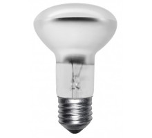Spots incandescents reflecteurs 1 spot R63 40W 200 A vis E27