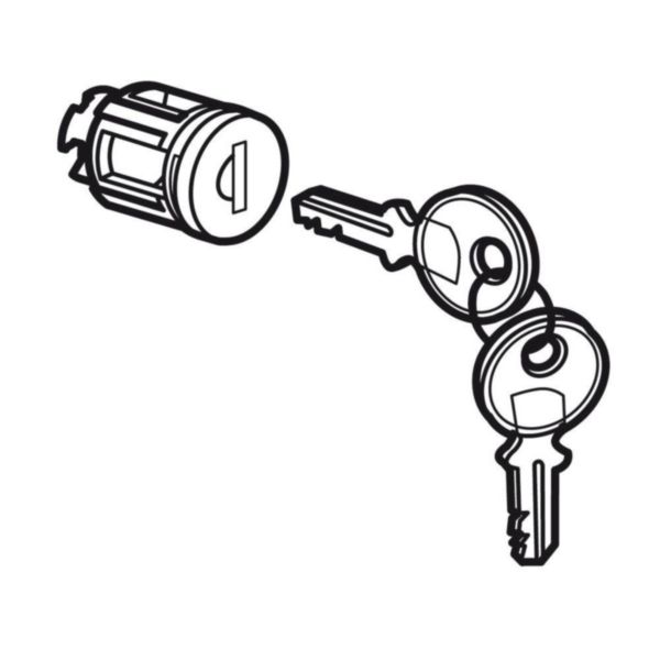 Barillet à clé XL3 type 405 pour porte métal ou vitrée XL3 LEGRAND 020291