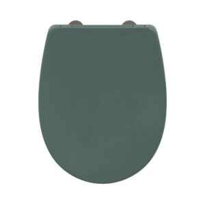 Abattant wc thermodur click & clean classic frein chute declip vert