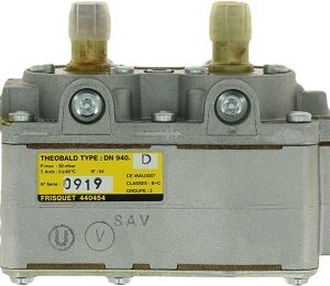 Bloc gaz ventouse DN 2000 FRISQUET F3AA40509