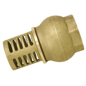 Crépine laiton femelle 50x60 de filtration